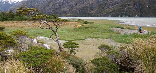 Ein Überblick auf unser Basislager. Eigentlich ist es wunderschön gelegen und nur ein paar Meter von bestem Wasser entfernt. Doch leider gibt es hier kein trockenes Fleckchen.