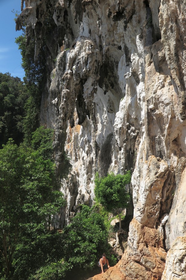 Die schönste Wand, die es außer der Gateful Wall hier gibt ist die "Mitt Wall". Gleich 26 zum allergrößten Teil bestens mit Titanhaken ausgerüstete Routen gibt es hier. So wie es scheint, wird hier in Kürze wiedeer der Dschungel das Heft in die Hand nehmen. 