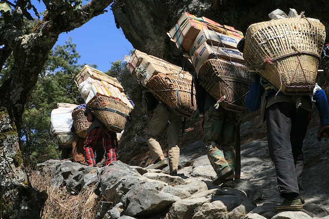 Die Lastenträger in Nepal leisten schier übermenschliches. In einer Untersuchung ist festgestellt worden, daß die 20 bis 40jährigen im Durchschnitt 153 % ihres Körpergewichts tragen. Diese Zahl stammt aus Geo Spezial "Himalaya". Das sind rund 90 Kilogramm bei einem 60 Kilo schweren Mann. Sie tragen diese titanische Last nur mit einem Stirngurt und oft in Badelatschen.